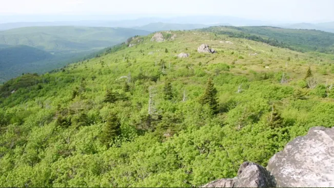 Mount Rogers Summit