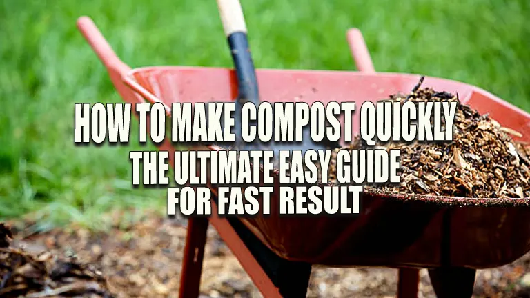 How to Make Compost Quickly: The Ultimate Easy Guide for Fast Result