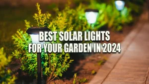 Best Solar Lights for Your Garden in 2024