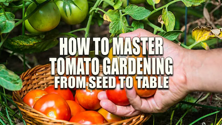 How to Master Tomato Gardening: From Seed to Table