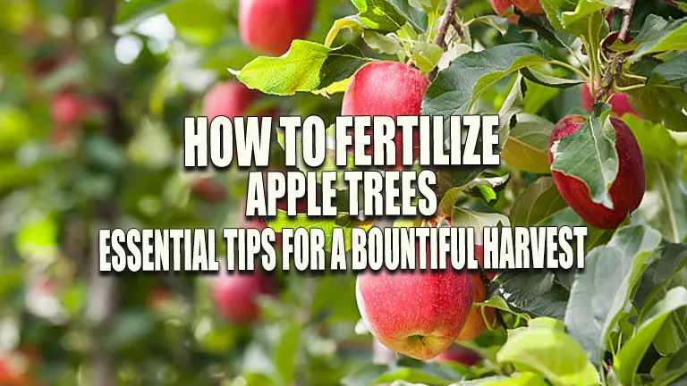 How to Fertilize Apple Trees: Essential Tips for a Bountiful Harvest