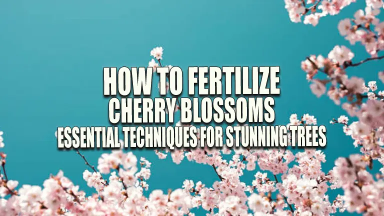 How to Fertilize Cherry Blossoms: Essential Techniques for Stunning Trees