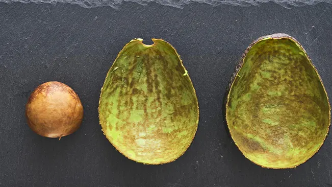 Avocado seed and empty avocado skins on a dark surface