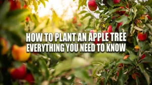 How to Plant an Apple Tree: Everything You Need to Know