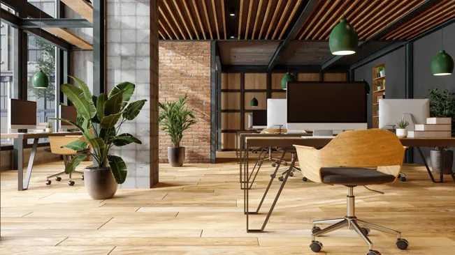 Modern office space with large potted plants enhancing the room's ambiance