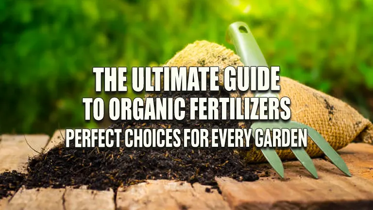 Guide to Organic Fertilizers: Perfect Choices for Every Garden
