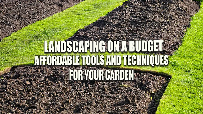 Landscaping on a Budget: Affordable Tools and Techniques for your Garden