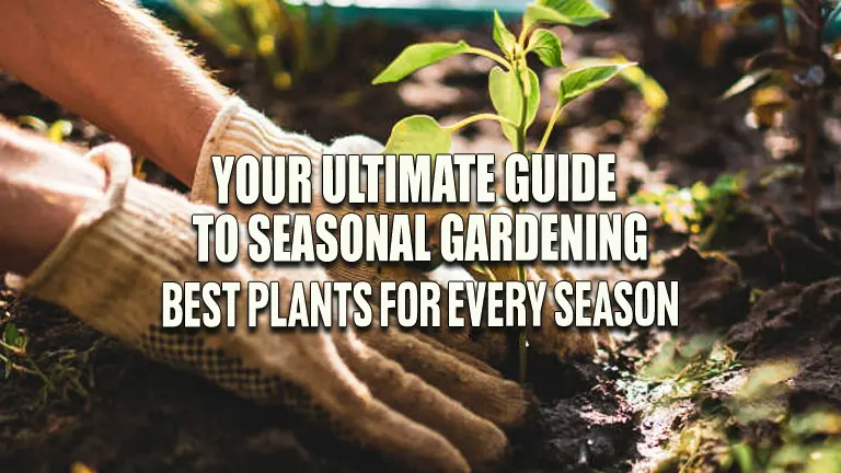 Guide to Seasonal Gardening: Best Plants for Every Season