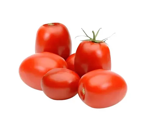 A group of six glossy red, plum tomatoes with one tomato standing upright, all isolated against a white background.