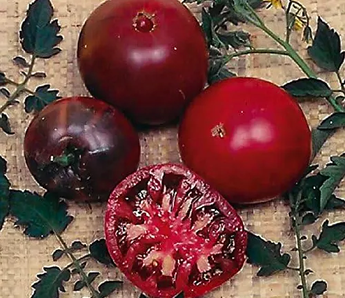 hree whole and one halved heirloom tomatoes in shades of deep red and brown, with rich, juicy interiors visible, accompanied by green leaves on a natural fiber mat.