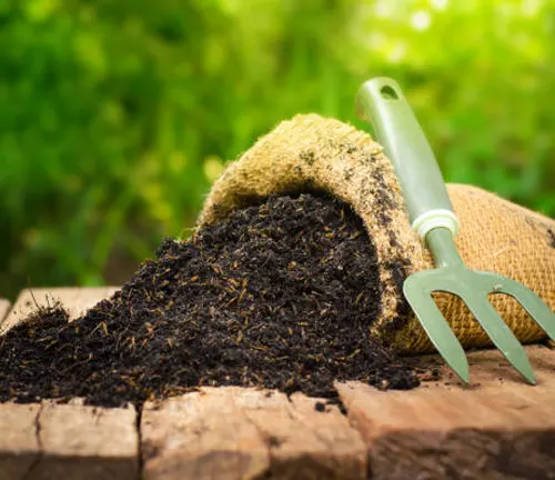 A gardening fork resting next to a burlap sack overflowing with rich, dark compost, set on a wooden surface with a lush green garden in the background.