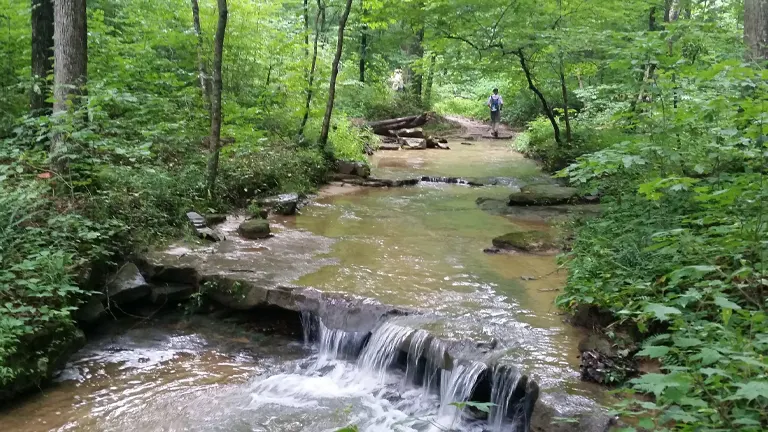The Importance of Conservation and Recreation in Hoosier National Forest