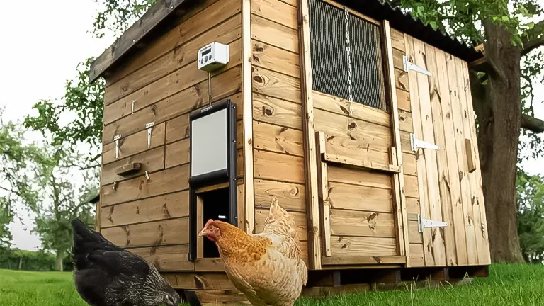 Wooden chicken coop with a ventilation window and chickens outside