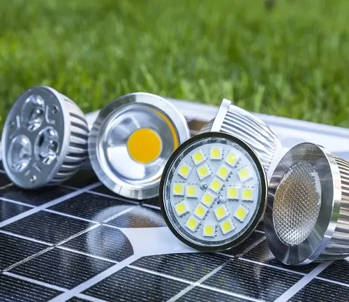 Various types of LED grow light bulbs displayed on a solar panel, illustrating a sustainable lighting solution for plant cultivation