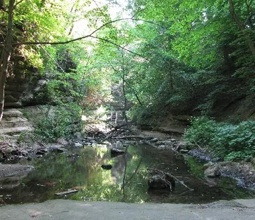 A serene creek meanders through a wooded canyon, reflecting the surrounding foliage, with rocky outcrops and a footbridge in the distance.