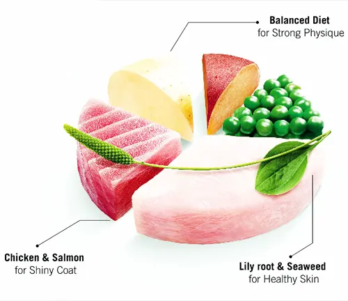 A diagram showcasing various meats and vegetables, representing a balanced diet for a "Ragdoll Cat".