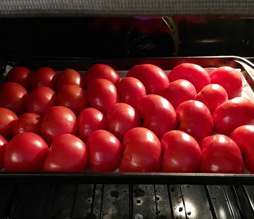 A tray of ripe red tomatoes being roasted in an oven, with the glow of the heating element highlighting their shiny skins.
