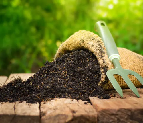 A gardening fork rests next to a burlap sack overflowing with rich, dark compost on a rustic wooden surface, with greenery in the soft-focus background.