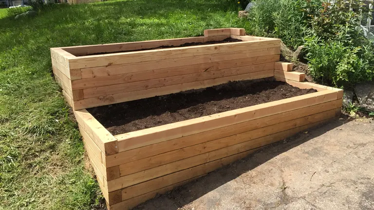 Douglas Fir raised garden beds filled with soil in a sunny backyard
