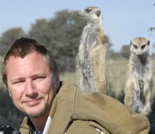 A man posing with a group of meerkats, showcasing their interaction with humans.