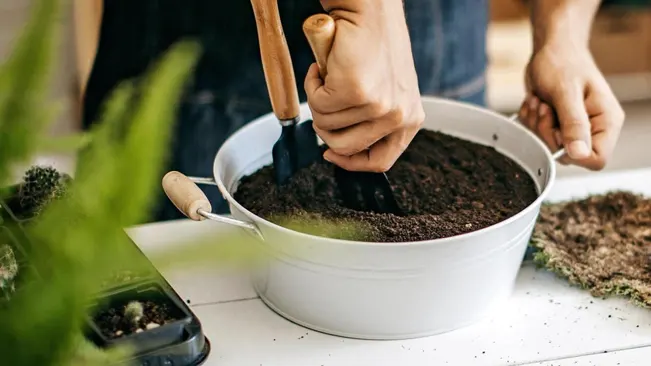 Person fertilizing soil in a pot with a garden trowel