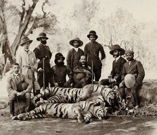 A group of men posing with an endangered Bengal Tiger, highlighting the beauty and importance of this endangered species