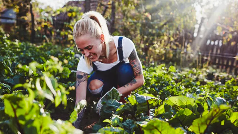 A smiling woman with blonde hair and tattoos on her arms is kneeling in a lush garden, tending to green leafy plants in the sunlight.
