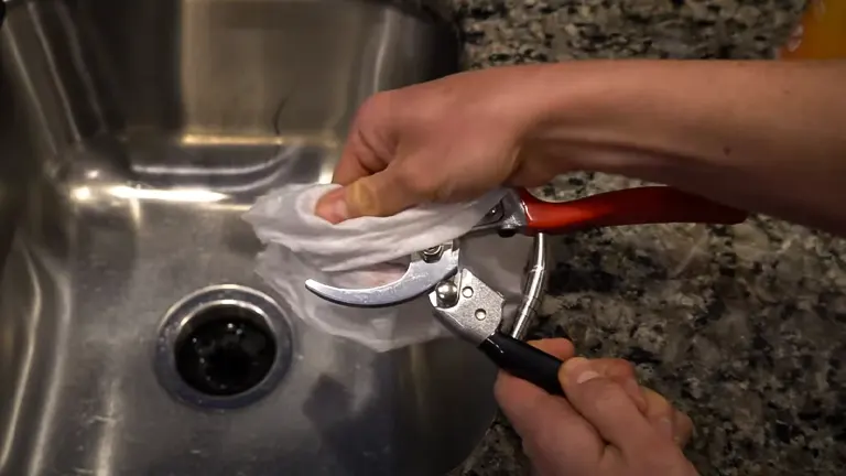 A person cleaning a pair of garden shears with a white cloth over a stainless steel kitchen sink.