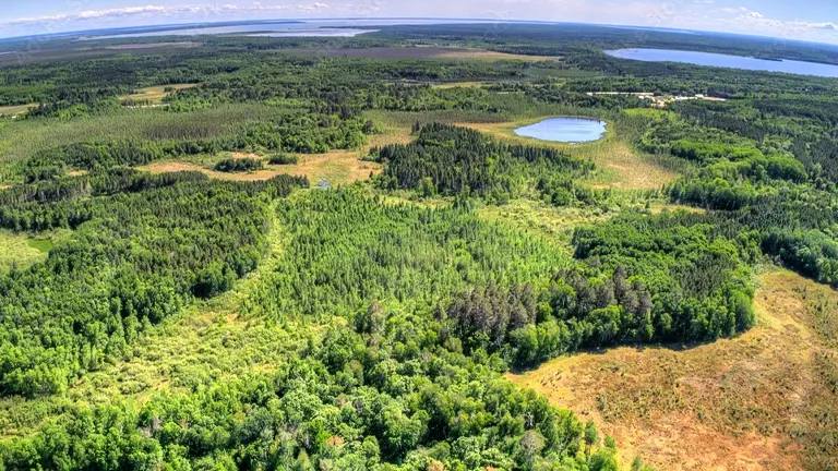 Chippewa National Forest Forestry