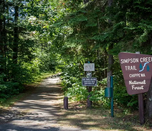 The entrance to the Simpson Creek Trail in the Chippewa National Forest, marked by informative signs and surrounded by dense green foliage.