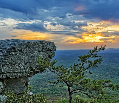 A majestic sunset view from a mountain overlook with a large, jutting rock formation in the foreground and a solitary pine tree, overlooking a vast forested landscape under a vibrant sky."