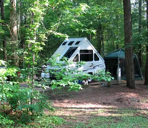 A camper van and an attached awning nestled among the trees in a serene forest campsite, bathed in dappled sunlight.