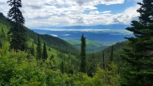 Expansive view of Flathead National Forest with layers of green coniferous trees covering rolling hills, leading to a vast, flat valley with a patchwork of fields and bodies of water, all under a partly cloudy sky.