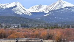 A serene landscape showcasing a range of snow-capped mountains in the background with a forest at their base, a field with orange and red shrubbery in the mid-ground, and a broken wooden fence in the foreground.