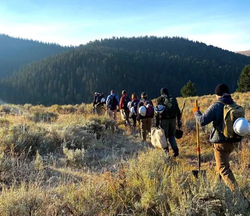 A group of hikers with backpacks and trekking poles walking through a grassy field, heading towards a forested mountain range in the soft light of early morning.