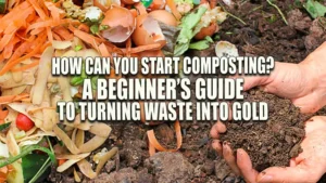How Can You Start Composting? A Beginner's Guide to Turning Waste into Gold