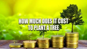 How Much Does it Cost to Plant a Tree