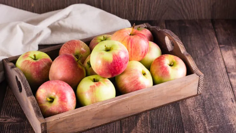 A wooden crate full of fresh, colorful apples on a rustic wooden surface