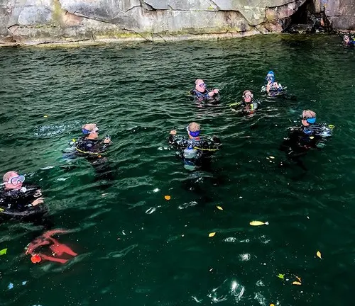 A group of scuba divers in wetsuits floating on the surface of dark green water near a rock wall, with scattered autumn leaves on the water around them.