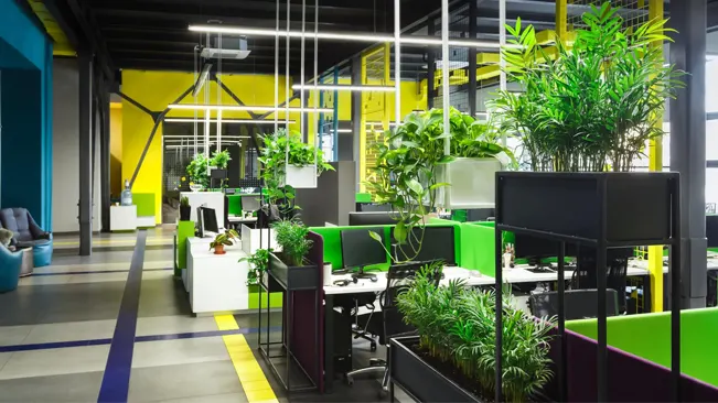 Vibrant office workspace with an abundance of green plants under bright lights