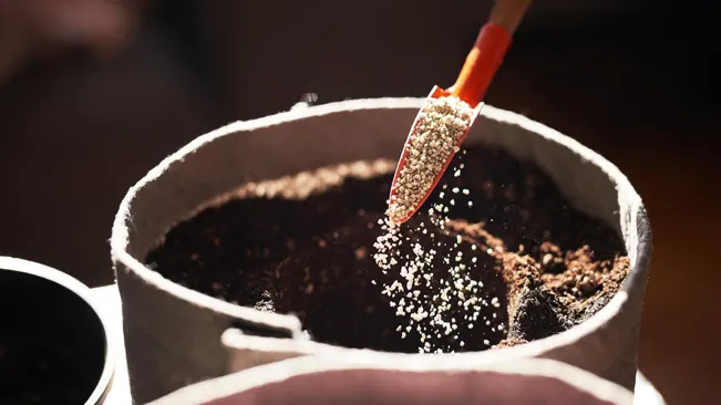 Close-up of fertilizer being applied to potting soil with a small scoop