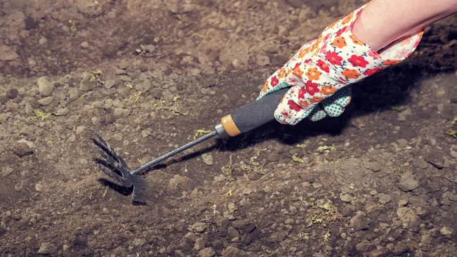 Gardener's hand using a small rake to make furrows in soil for planting carrots