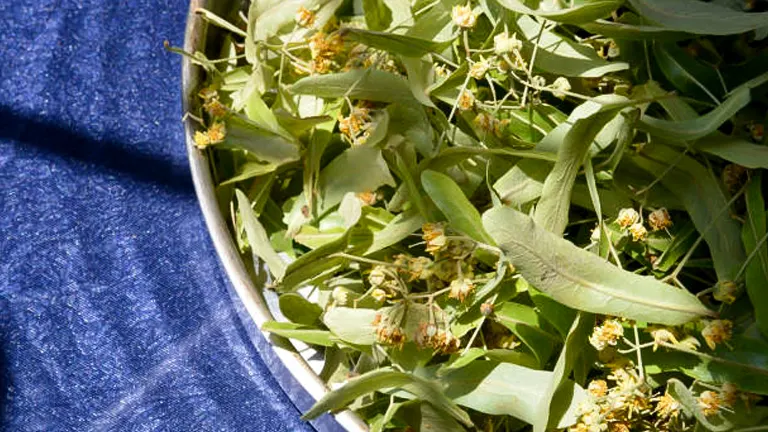 Close-up of a bowl filled with fresh green leaves and small yellow flowers, on a dark blue fabric background with a textured appearance.
