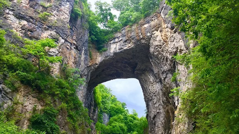Lush green foliage surrounds the Natural Bridge, a massive rock arch against a backdrop of a cloudy sky, embodying the park's verdant landscape.