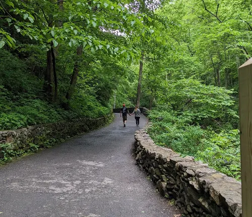 Two people walking down a shaded, tree-lined path with a stone wall on one side, in a lush green forest.