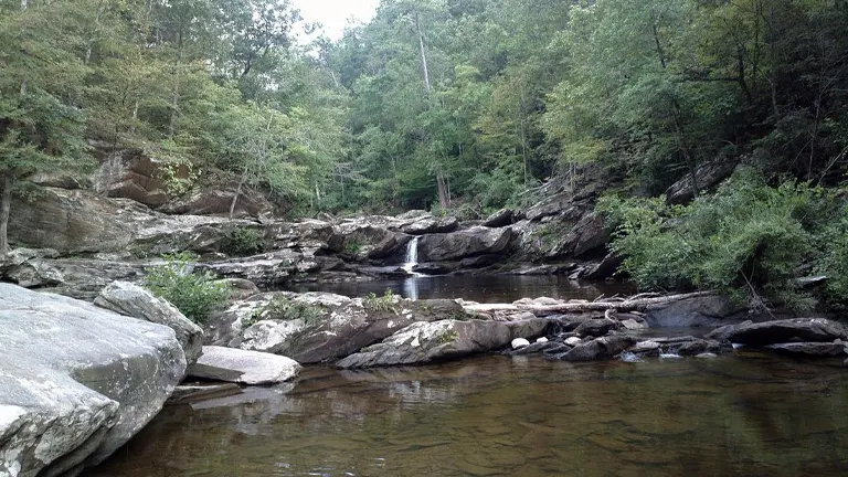 Tranquil stream flowing through a rocky creek bed in a forest, with a small waterfall in the background surrounded by lush trees and large boulders.