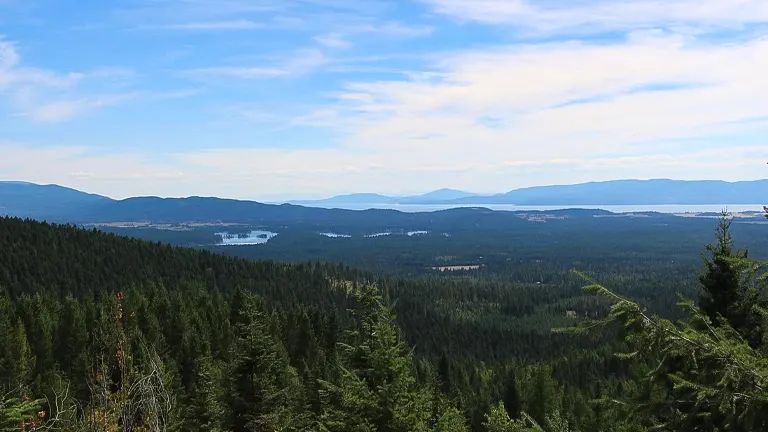 Overlooking view of a lush coniferous forest canopy with a glimpse of a tranquil lake in the distance, set against a backdrop of distant mountains under a soft blue sky with wispy clouds.