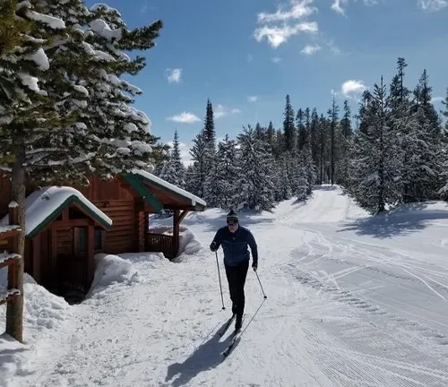 A person cross-country skiing on a groomed trail with snow-covered trees and a cabin in the background on a bright, sunny day.