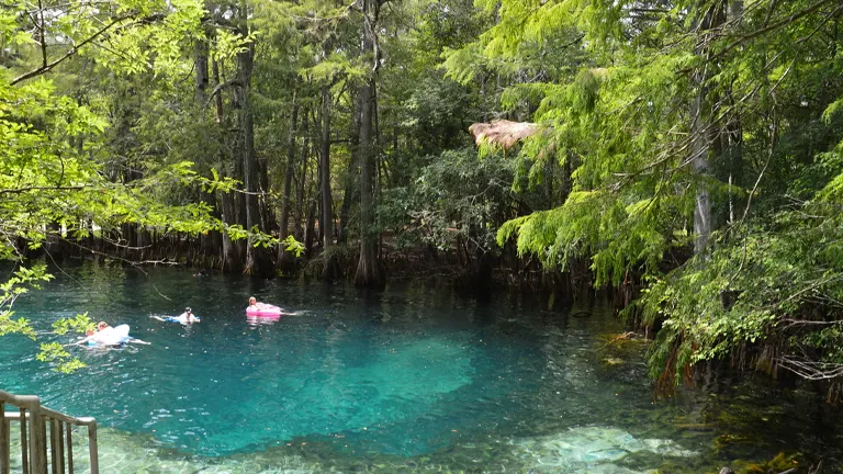 Photo of a crystal-clear natural spring surrounded by dense greenery, with people floating on inflatables in the tranquil water.