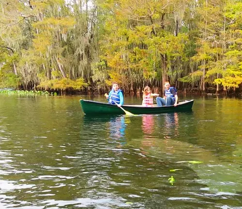Three people, two of whom appear to be children, are canoeing on a calm river with dense, tree-lined banks showing autumn colors.